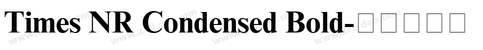 Times NR Condensed Bold字体转换
